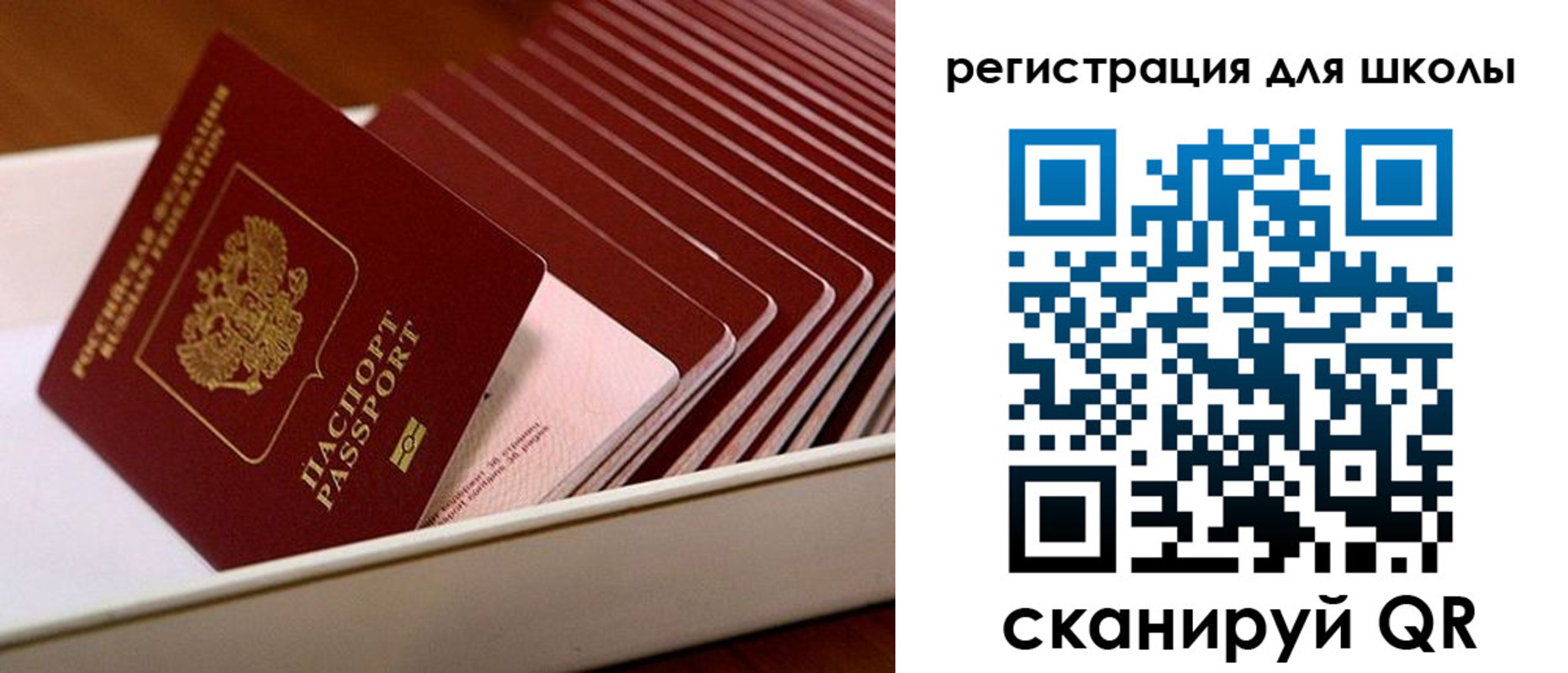 прописка гарантия в Тавде
